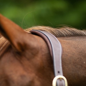 Meilleures ventes Accessoires de selle occidentale anatomique Bride de licou de cheval rembourrée en cuir véritable à prix compétitif - Product Image 3