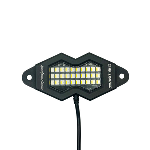 30 Luces LED RGBW para Roca - Product Image 1