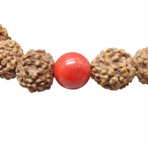 Bracelet Rudraksha unisexe en corail naturel brun Moonga |   Indonésie |   Métal non précieux |   5 Mukhi |   Bracelets à perles tendance - Product Image 2