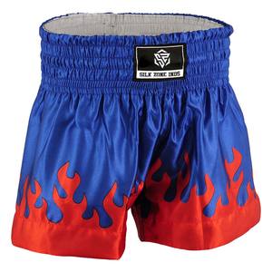 Bordado sublimado personalizado DTF diseño MMA Fight Shorts ligero de secado rápido para Kickboxing Muay Thai gimnasio ENTRENAMIENTO BOXEO - Product Image 6