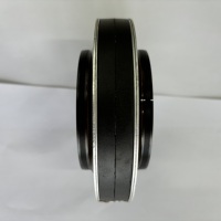Diaphragme de remplacement TAIMEI (YUHUI) pour haut-parleurs 4599, bobine double sortie complète, VC 89 mm CCAW 4599-8, haut-parleur à compression