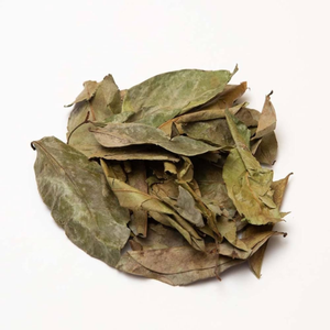 ใบ soursop, ใบ annona muricata แห้ง, ใบ guanabana, จัดส่งฟรี, จำนวนใบที่เลือก - Product Image 4