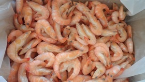 กุ้งกุลาดำทั้งหมด vannamei แช่แข็งแบบสดทั้งหมด - Product Image 5
