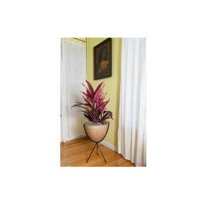 Jardineras de ratán para decoración de jardín con soporte de hierro jardinera de ratán natural con soporte negro de pie de suelo grande a bajo precio - Product Image 2