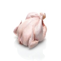 Exportation de poulet entier congelé certifié halal disponible à la vente en gros meilleur prix de vente à bas prix
