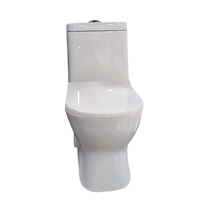 WC monobloc moderne blanc à double chasse, réservoir encastré, toilettes murales en céramique