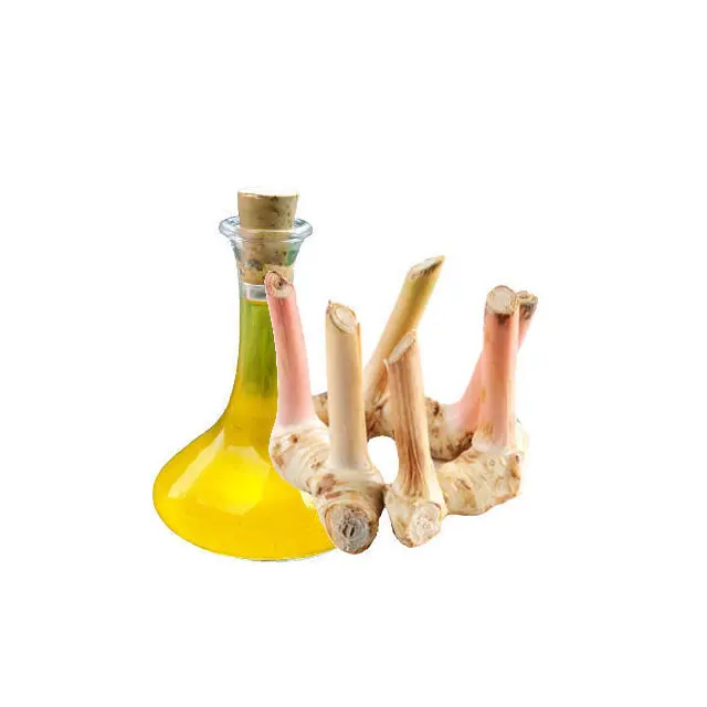 Best Selling Galangal Root Essential Oil Customized Packing 100% Naturally Made Galangal Root Oil For Sale