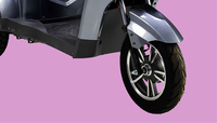 Sepeda Motor Listrik Roda Tiga 1000W 60V Laris di Turki, Kecepatan 25KM <40km/jam untuk Dewasa