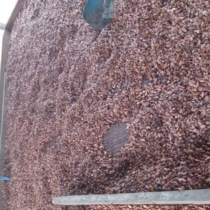 เมล็ดโกโก้คั่วสำหรับขายในฝรั่งเศส - Product Image 1