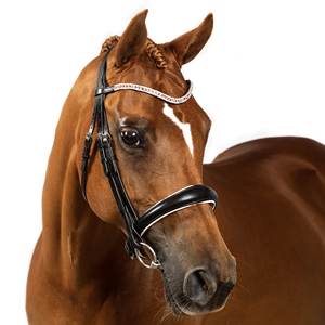 Vente en gros de bride de cheval en cuir véritable de fabricants Vente en gros de bride de cheval en cuir véritable de haute qualité - Product Image 5