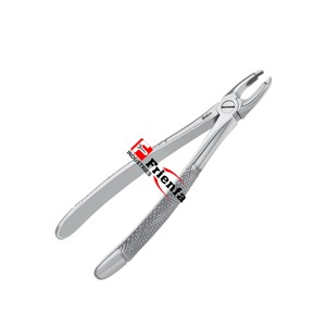 Fórceps de extracción inglés No 45 Instrumentos dentales hechos de acero inoxidable alemán de alta calidad - Product Image 3