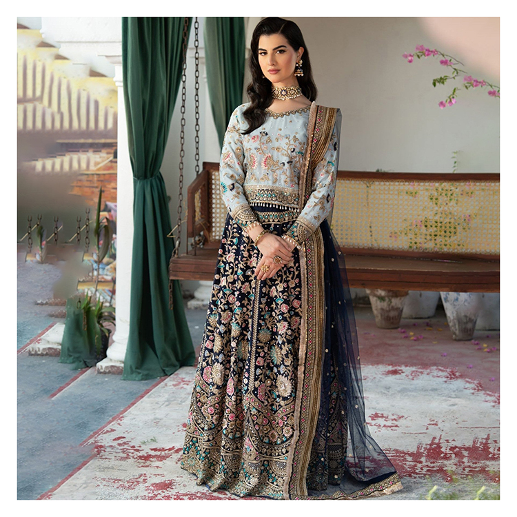 chinese dress ladies Gorgeous Blue Heavy Net Embroidered Bridal Lehenga Choli main image 0