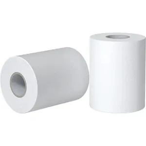 Custom Printed White Tissue Paper Hygienic Recycled 1 Ply 2ply 3 Ply Absorbency Custom Packing Tissue Paper