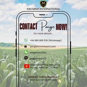 Comida fina de mazorca de maíz | Ingrediente nutritivo para alimentación animal | El mejor precio para pedidos a granel - Product Image 6