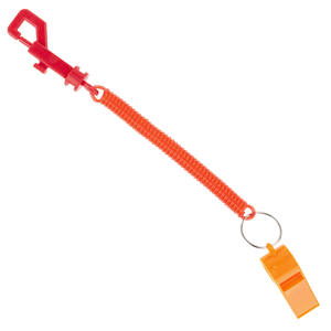 Cartoon Style PVC Acrylic EVA Plastic <b>Keyring</b> on a Spring Lanyard <b>Carabiner</b> for Key Holder - Product Image 6