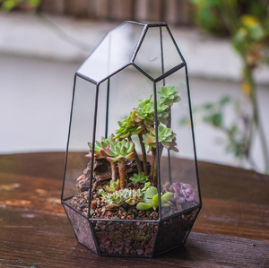 Terrarium géométrique en verre demi-boule Octa de qualité supérieure pour l'affichage de fleurs et la décoration de table au prix de gros et d'usine - Product Image 4