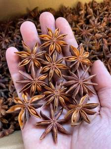 โป๊ยกั๊กแห้งเครื่องเทศสมุนไพรและดอกไม้ - Product Image 3