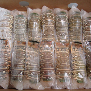 Homards et queues de homard surgelés en gros, emballés sous vide, France, meilleurs prix disponibles, entiers 10kg, livraison rapide, achetez maintenant, en vente - Product Image 4