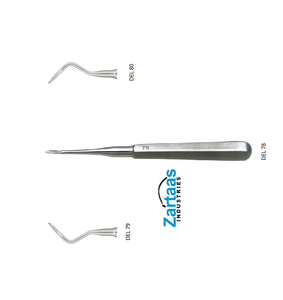 Elevadores de acero inoxidable de alta calidad punta de raíz del 78 exportadores y fabricante - Product Image 4