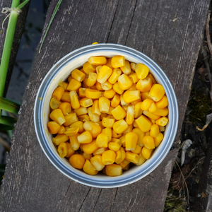 Nueces de maíz dulce y sabroso natural/Listo para comer/Puro y delicioso, precio promocional especial/Sra. Jessi - Product Image 2