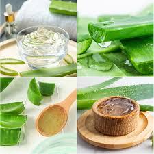 CUBOS DE ALOE DE HIERBAS PURAS EN JARABE - Product Image 6