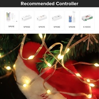 Guirlande lumineuse à LED, lampe de jardin, boule ronde, sol extérieur, vente en gros, fil de cuivre, imperméable, éclairage de décoration