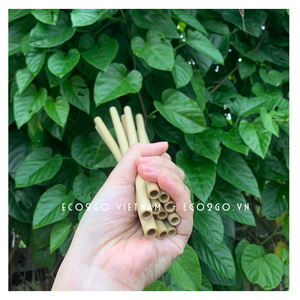 Vente en gros de pailles en bambou bon marché ensemble de thé à bulles en vrac avec logo laser gravé en matériau de haute qualité - Product Image 4