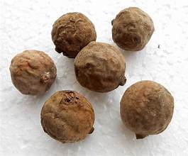 ผงสมุนไพรจากพืช Terminalia belliriica สำหรับตับธรรมชาติและสุขภาพทางเดินอาหาร - Product Image 4