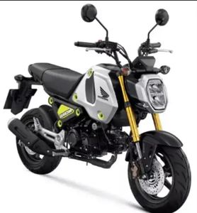 MEILLEUR ACHAT NOUVEAU HONDAAS-GROMMS MSX125 124cc Sporttsbikkes Motos PRÊT à EXPÉDIER - Product Image 1