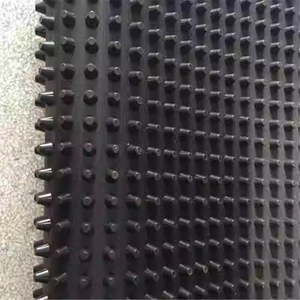 Vente en gros de feuilles de drainage en plastique à fossettes en rouleau rouleaux de panneau de drainage en composite PE-HD pour mur de soutènement de jardin sur toit - Product Image 4