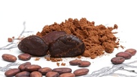 Poudre de cacao riche en flavonoïdes - 20% - Cacao de qualité supérieure
