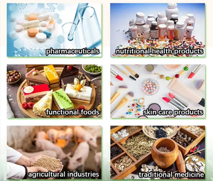 כורכום תוספי מזון משותף, תמיכה שרירים, מספקים את הגמישות ביותר ונזילות - Product Image 6