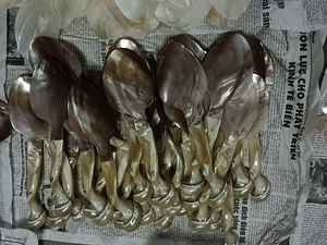 Cuillère en nacre du Vietnam, coquille naturelle polie, fabrication artisanale, qualité supérieure, vente en gros, directement de l'usine, approvisionnement mondial - Product Image 2