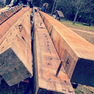 Exportador de madera Jatoba de alta calidad Troncos Jatoba para la producción de madera Proveedor de madera Jatoba - Product Image 2