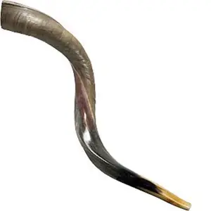 Corno di Ram di alta qualità Shofar corno naturale Shofar per soffiare su Rosh Hashanah corno di Ram lucido Kosher Shofar Kudu di alta qualità