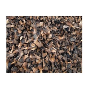 Protección del medio ambiente Caja de carbón activado seco Palm Kernel Shell Resina Filtro de aguas residuales Tipo natural - Product Image 3