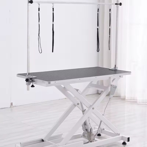 <span class=keywords><strong>Mesa</strong></span> de peluquería eléctrica para mascotas, <span class=keywords><strong>mesa</strong></span> de peluquería para perros con luz LED, <span class=keywords><strong>mesa</strong></span> de aseo veterinario - Product Image 1