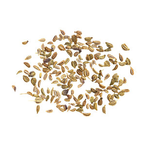 Herbes et épices Carom (Ajwain) |   Pureté 99% |   Durée de conservation de 3 ans |   Qualité alimentaire |   Kohenoor International - Product Image 6