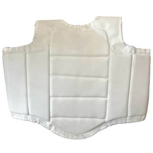 Protector de Pecho para Karate, para Entrenamiento, Combate, Artes Marciales, Seguridad y Protección contra Impactos - Product Image 1