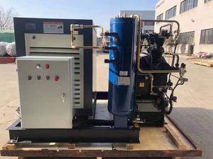 เครื่องอัดอากาศแบบสกรูเซี่ยงไฮ้ 30 กก. รุ่นแรงดันปานกลาง สำหรับอุตสาหกรรม ระดับ DIY  ปรับแต่งได้ตามความต้องการ  OEM ODM สำหรับการเป่าขวด - Product Image 3