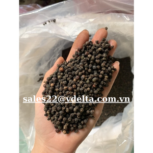 Pimienta negra 500gl ASTA Mejor precio Mayor a granel de proveedor en Vietnam Condimento de pimienta picante/Sr. Kevin - Product Image 4