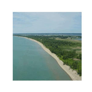 Competitive Prices on Beech Long <b>Logs</b> for Durable and Solid Furniture Pieces Available in Bulk - Product Image 2