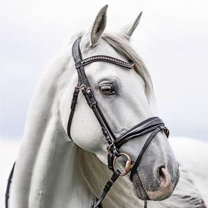 สายรัดจมูกสวีเดน สร้อยจมูกโรสโกลด์ สร้อยหนังสีดํา สร้อยคล้องหน้าและสายรัดจมูก เรียงรายนุ่มนวล โล่งหินสตราสเลียนแบบ - Product Image 3