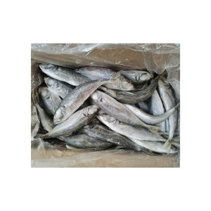 ปลาแมคเคอเรลม้าแจ็คปลาทะเลแช่แข็งแบบเบา - Product Image 1