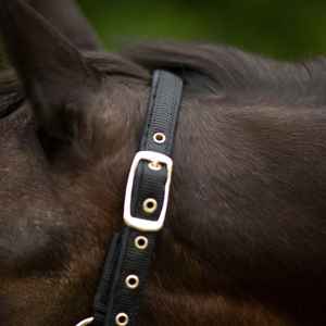 Cabestro de caballo de nailon duradero y cómodo de tamaños de mazorca completa personalizado diseño estampado colorido estilo sillín inglés ajustable KGN - Product Image 2