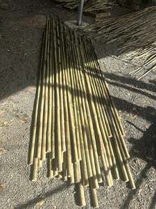 Poteau en bambou fort utilisé dans l'agriculture - Product Image 4