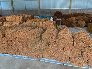 Canela Cassia Vietnamita Premium en Barra Larga, de 25cm a 45cm, Calidad de Exportación, Nueva Cosecha, Bien Seca - Product Image 3