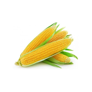 Iqf เมล็ดข้าวโพดหวานแช่แข็งสีเหลืองที่เก็บของแบบโตเต็มวัยบรรจุอาหารได้น้ำหนักอายุการเก็บรักษา - Product Image 4