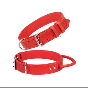 Collar de perro sabueso de cuero verde de alta calidad para galgo y Whippet - Product Image 1