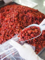 High Quality Dehydrated Dried Strawberries Low Sugar 5kg Bags Thailand Freshly Dry Healthy Snacks Recipes